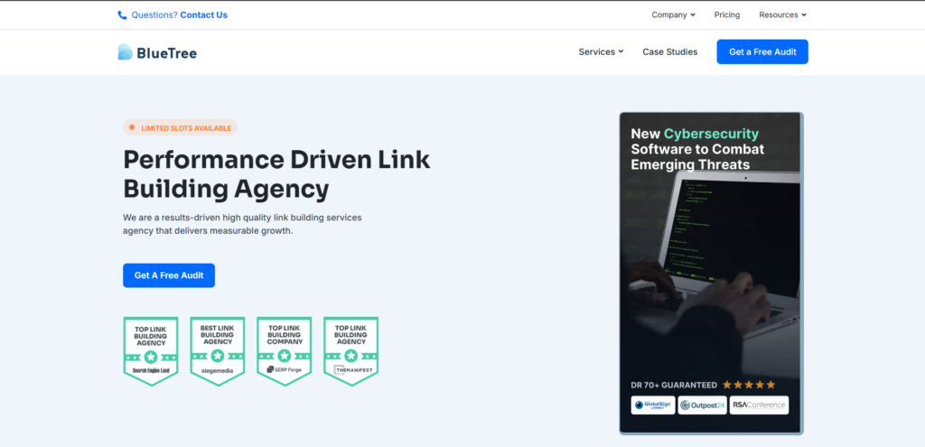 Link Building Services