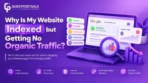 Indexed but Invisible Fixing Organic Traffic